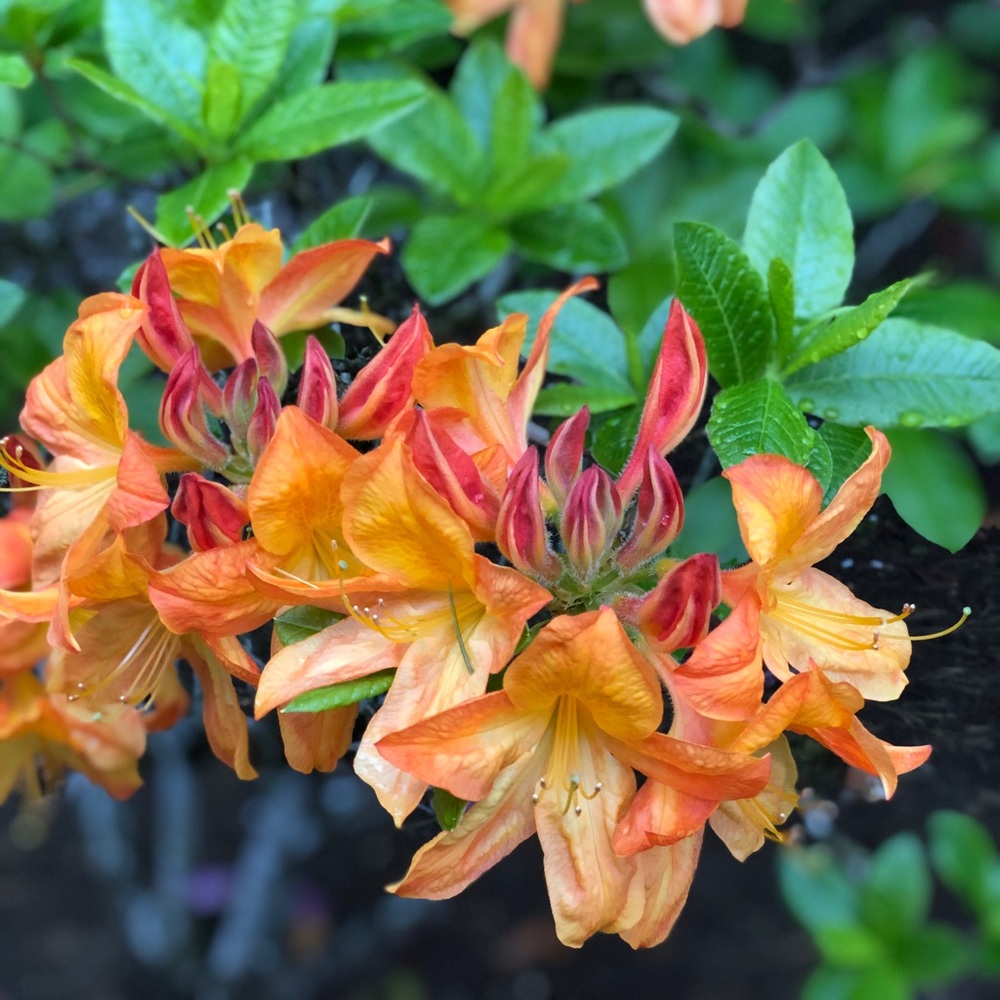 Meet your Posher, Katlyn